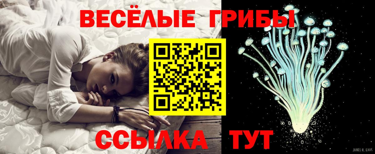 купить наркотики цена  Вход с VPN  Галлюциногенные грибы мухоморы  Выкса  Галлюциногенные грибы MAGIC MUSHROOMS 