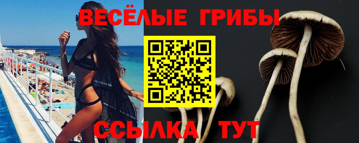Псилоцибиновые грибы мицелий Выкса